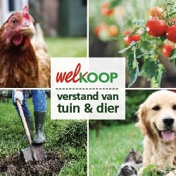 Winnaar Shopping Awards 2023