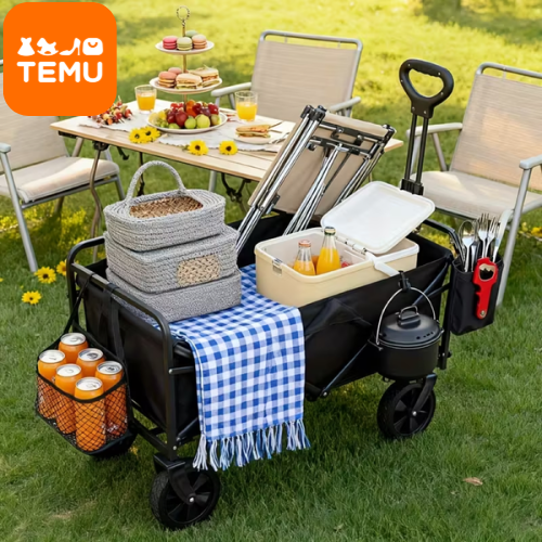 Het voorjaar in met TEMU!