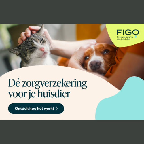 Geef je huisdier de beste zorg  🐾