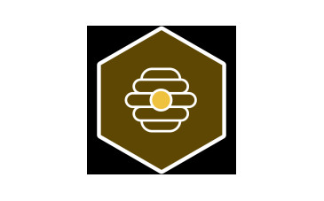 HIVE