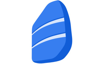Rosetta Stone (INT)