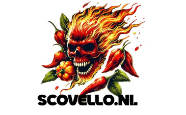 Scovello